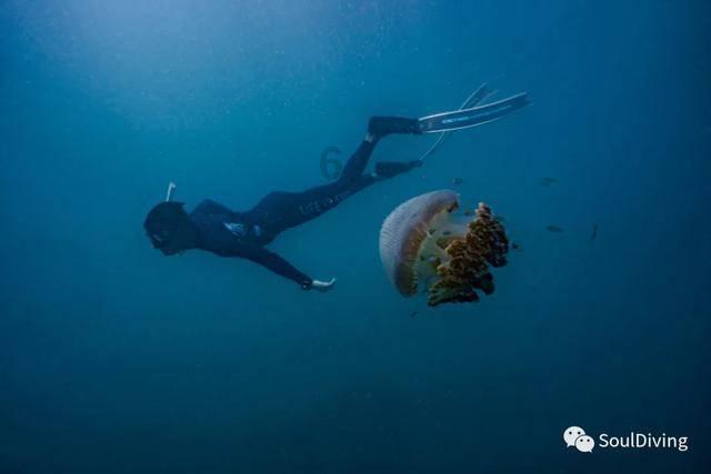 海绵宝宝寻珍宝